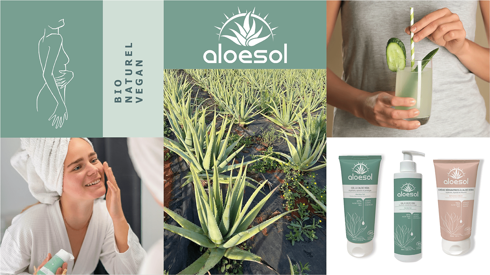 ALOESOL