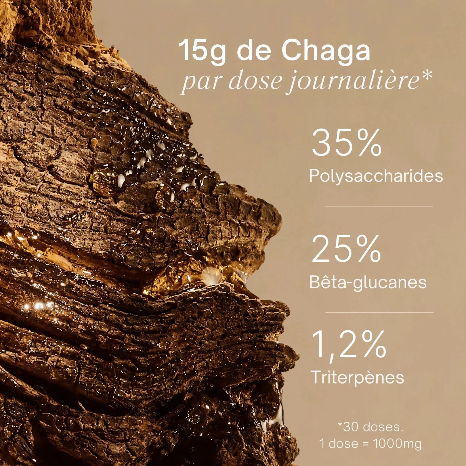 Gummies au Chaga - Immunité, énergie, peau Complément Alimentaire Sporelife 