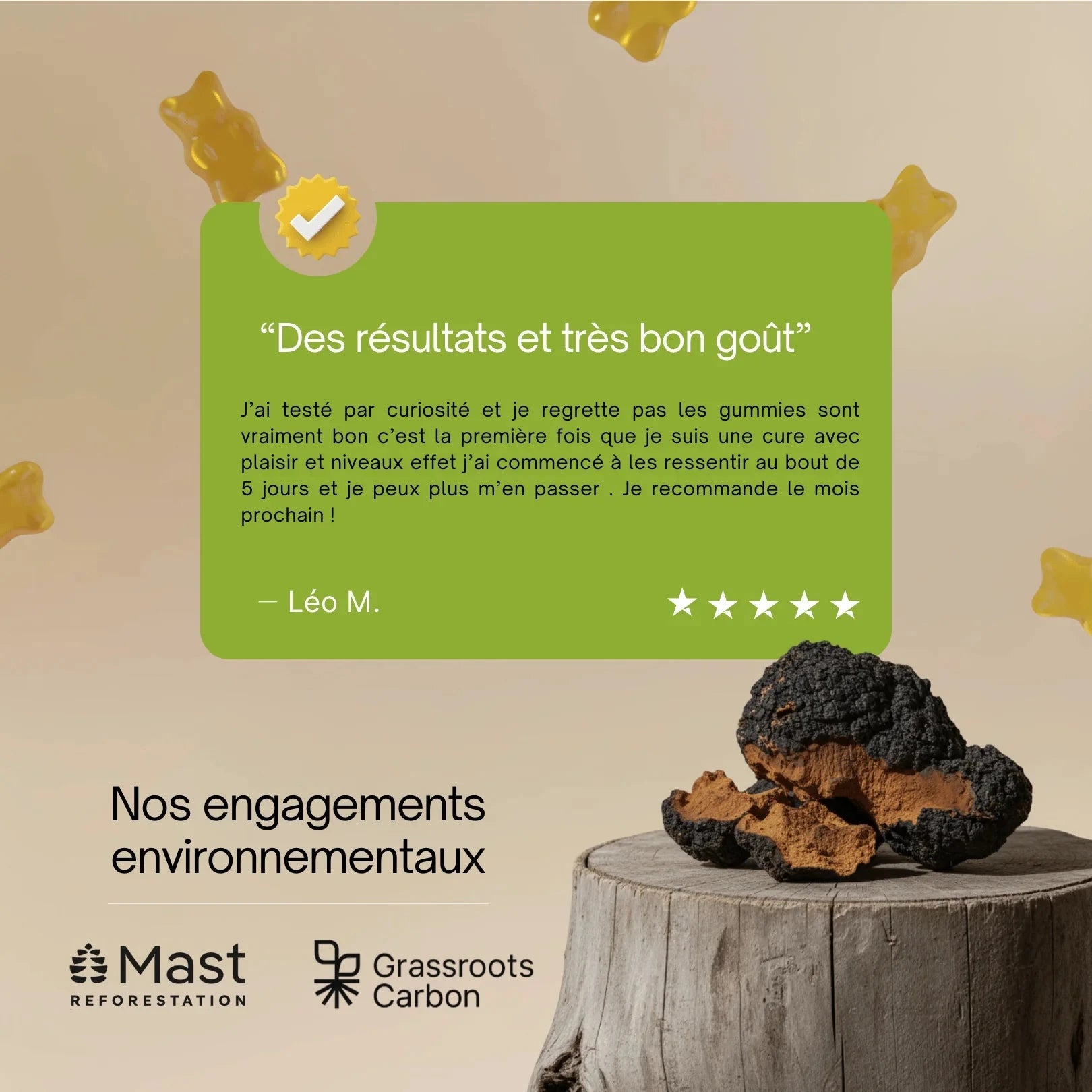 Gummies au Chaga - Immunité, énergie, peau Complément Alimentaire Sporelife 