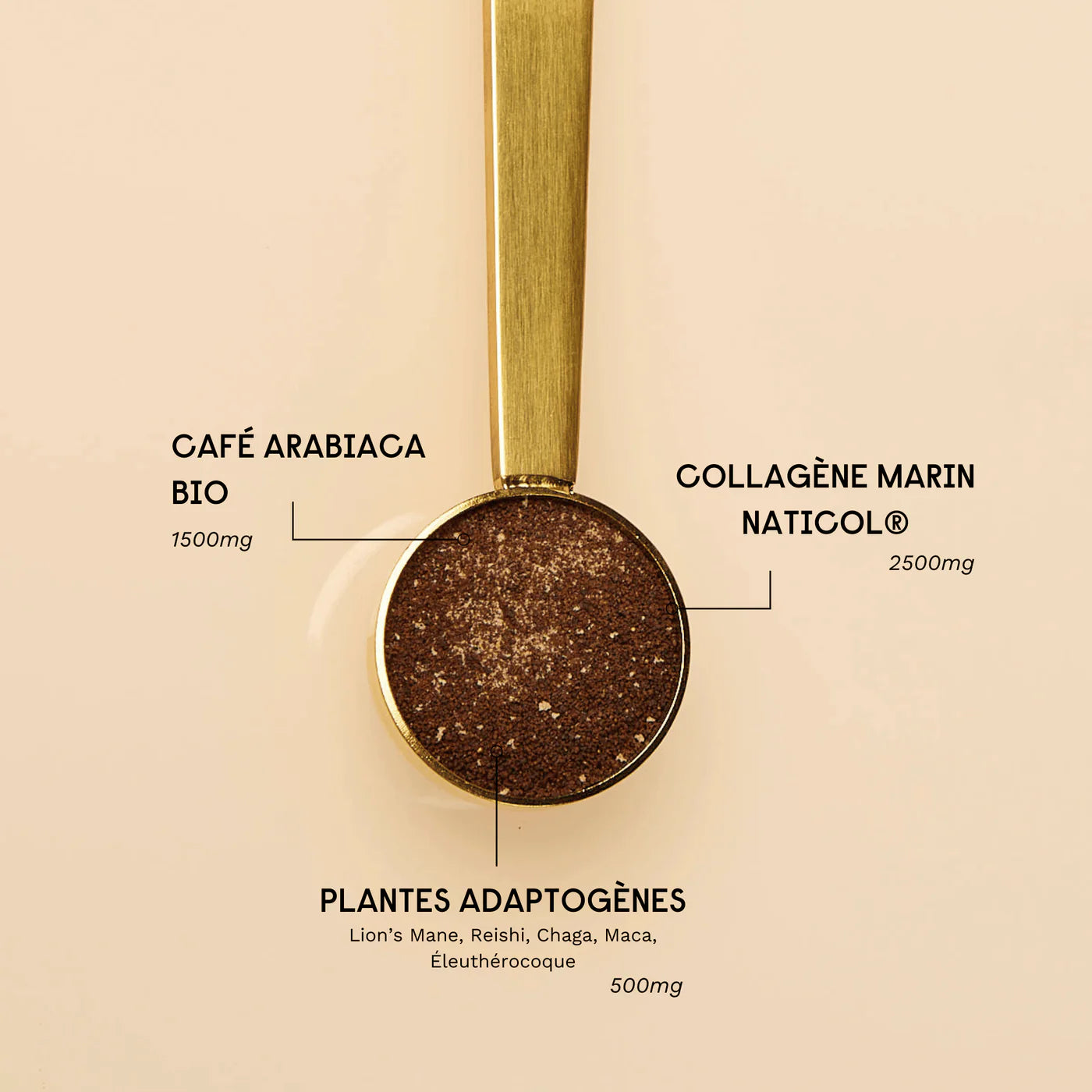 Le Collagène Café