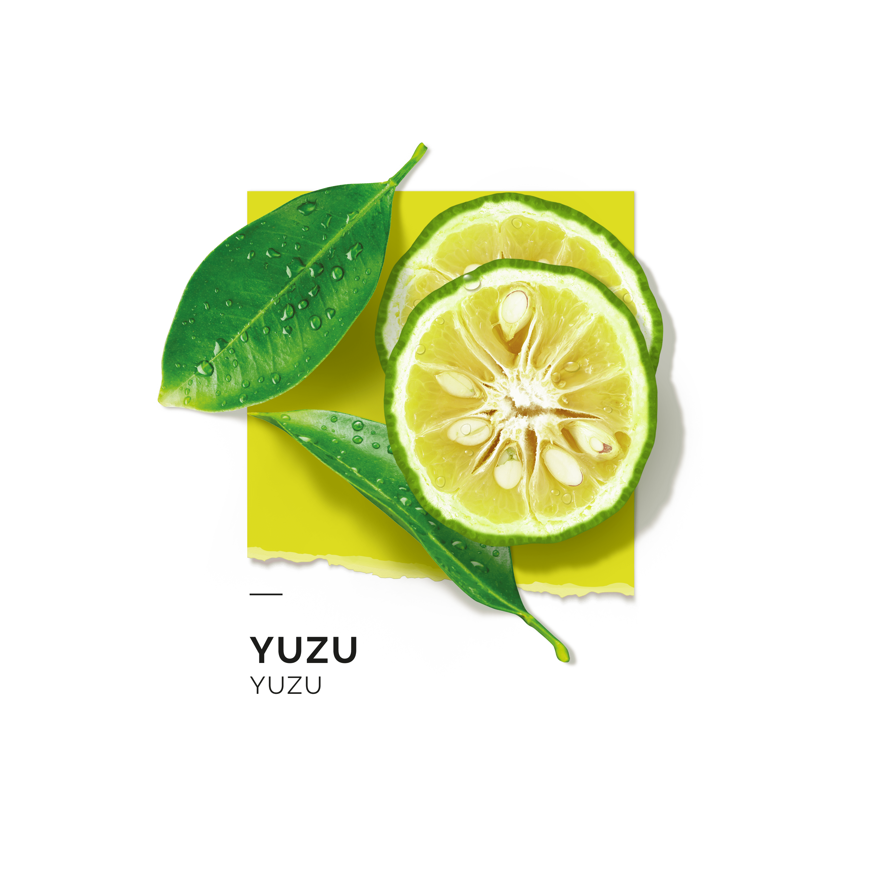 Yuzu Eau de parfum Eau de parfum SOLINOTES 