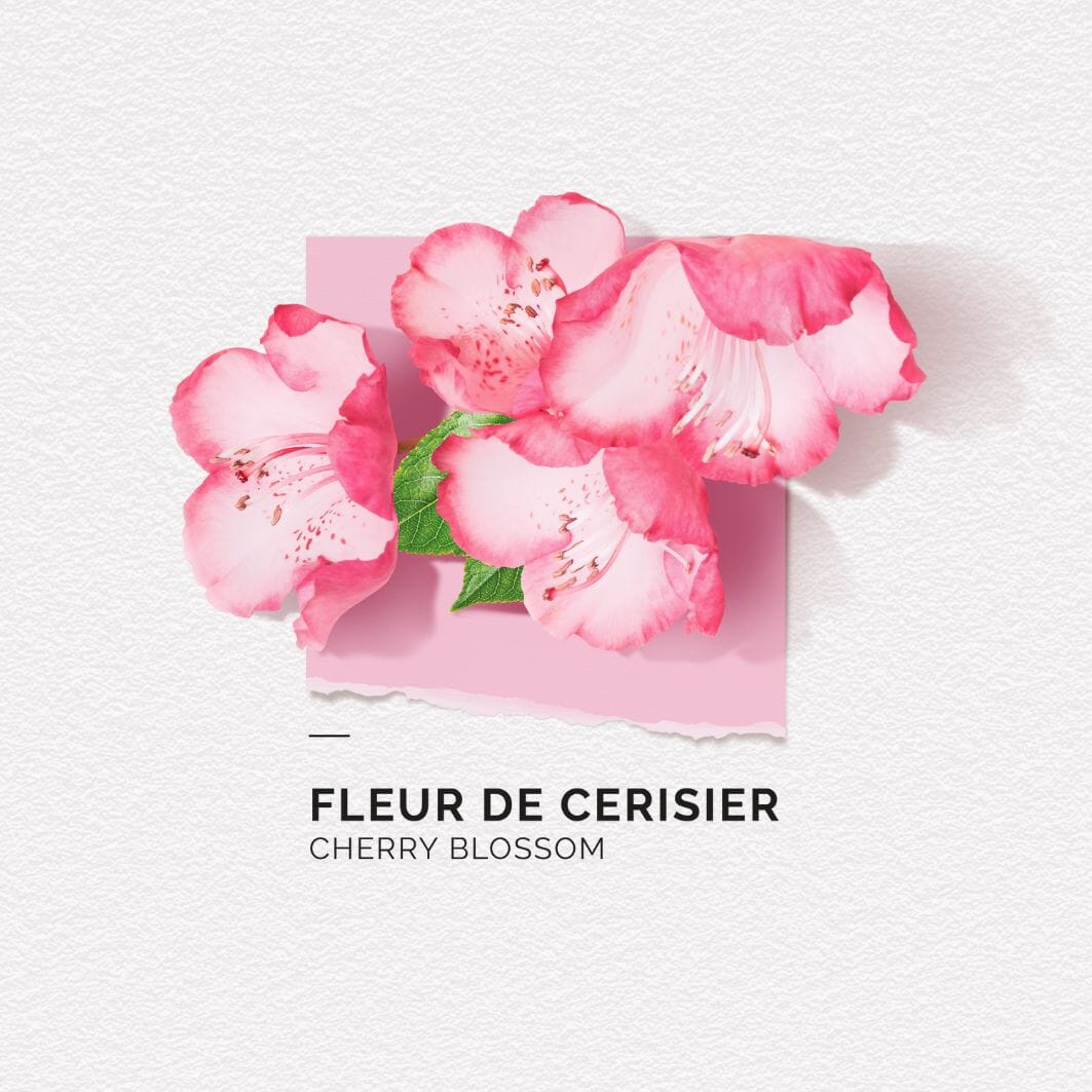 Coffret Fleur de Cerisier Eau de parfum SOLINOTES 