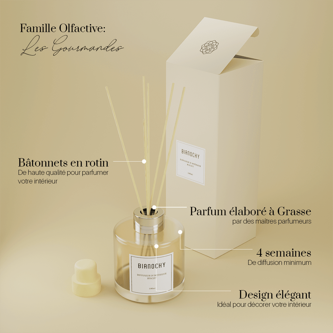Diffuseur d'ambiance - Biscuit Diffuseur de Parfum BIANOCHY 