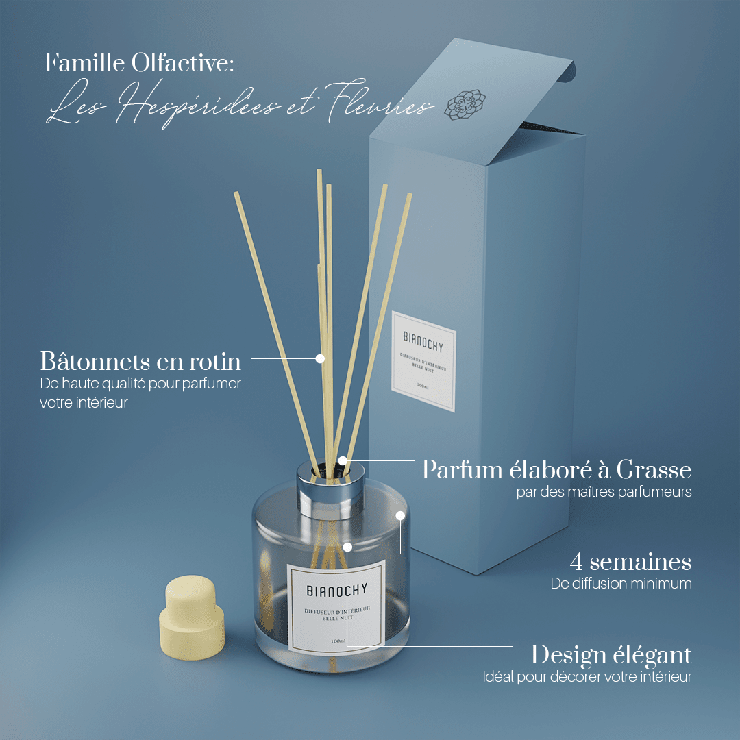 Diffuseur d'ambiance - Belle Nuit Diffuseur de Parfum BIANOCHY 