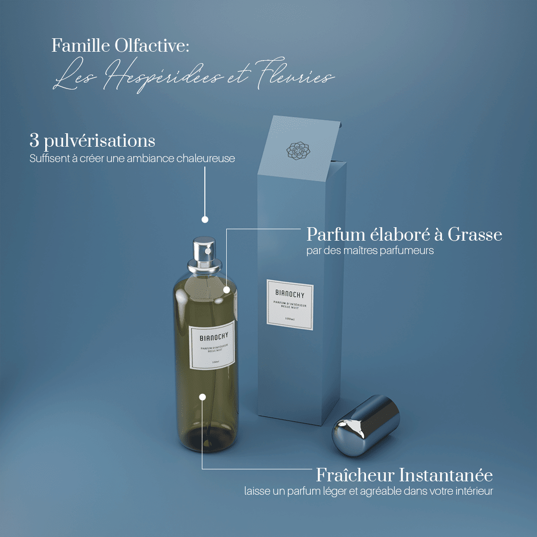 Parfum d'ambiance - Belle Nuit Parfum d'Ambiance BIANOCHY 
