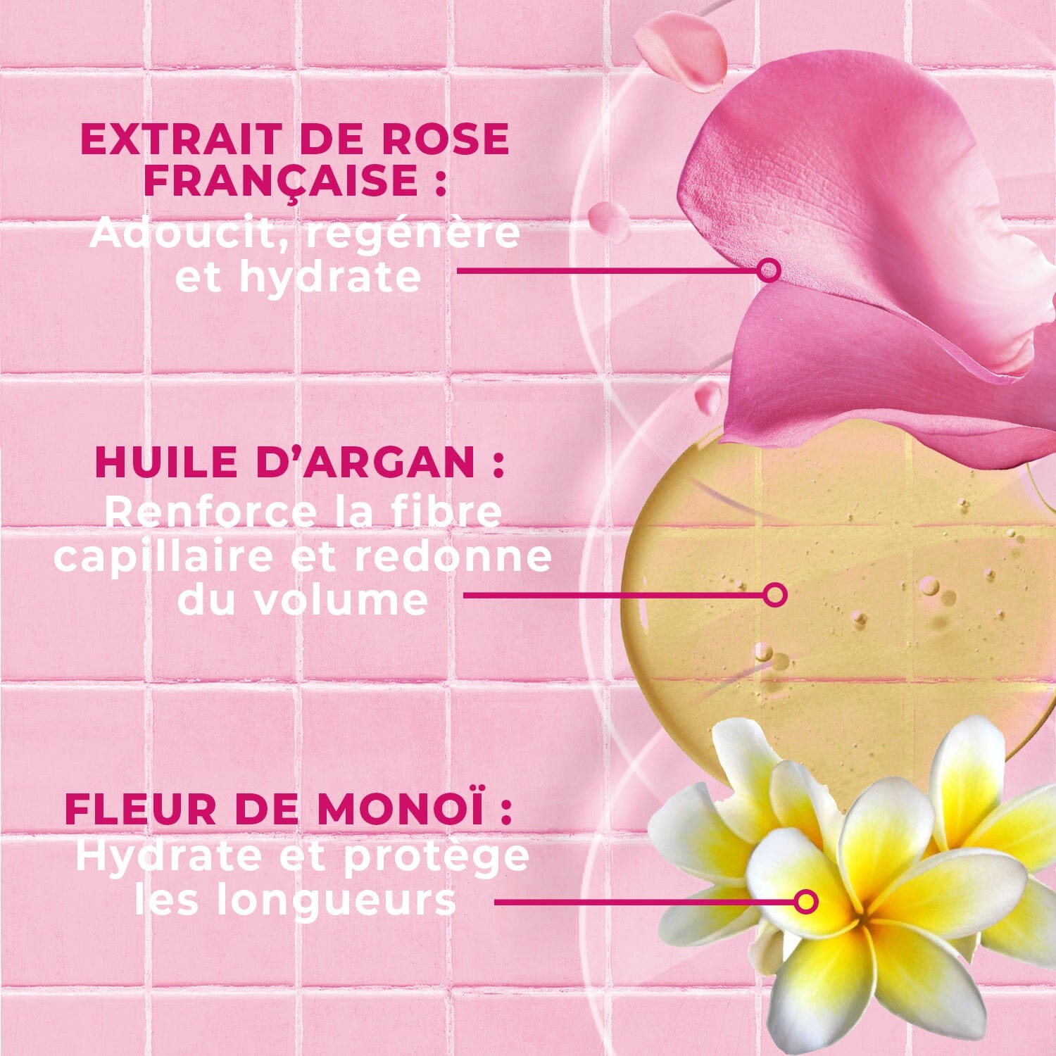 Shampooing Soin Lissant 0% Sulfates Monoï, Rose & Huile d'Argan bio shampoing ENERGIE FRUIT 