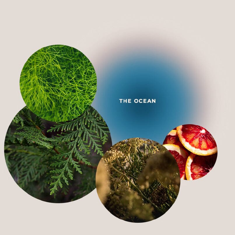 Sels de bain de l'île de Ré - BAIN DE MER hygiène Giving love to 