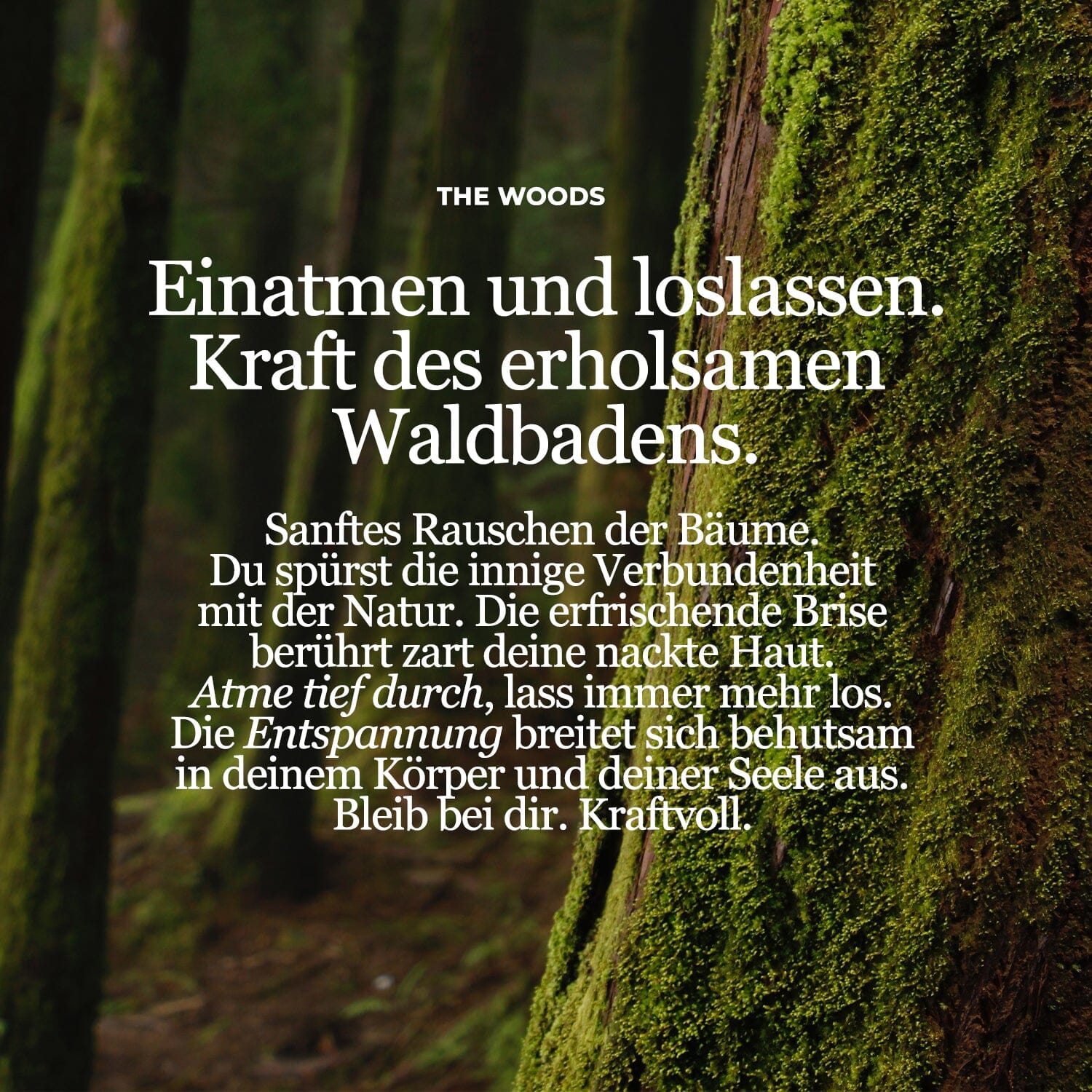 Sels de bain de l'île de Ré - BAIN DE FORÊT hygiène Giving love to 