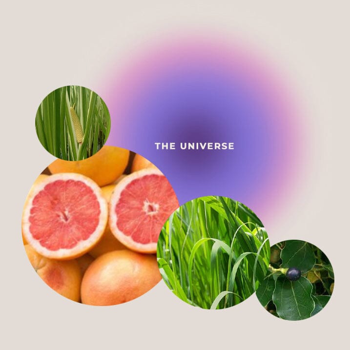 Huile de soin et de massage - ÉTREINTE SENSUELLE Soin Corps Giving love to 