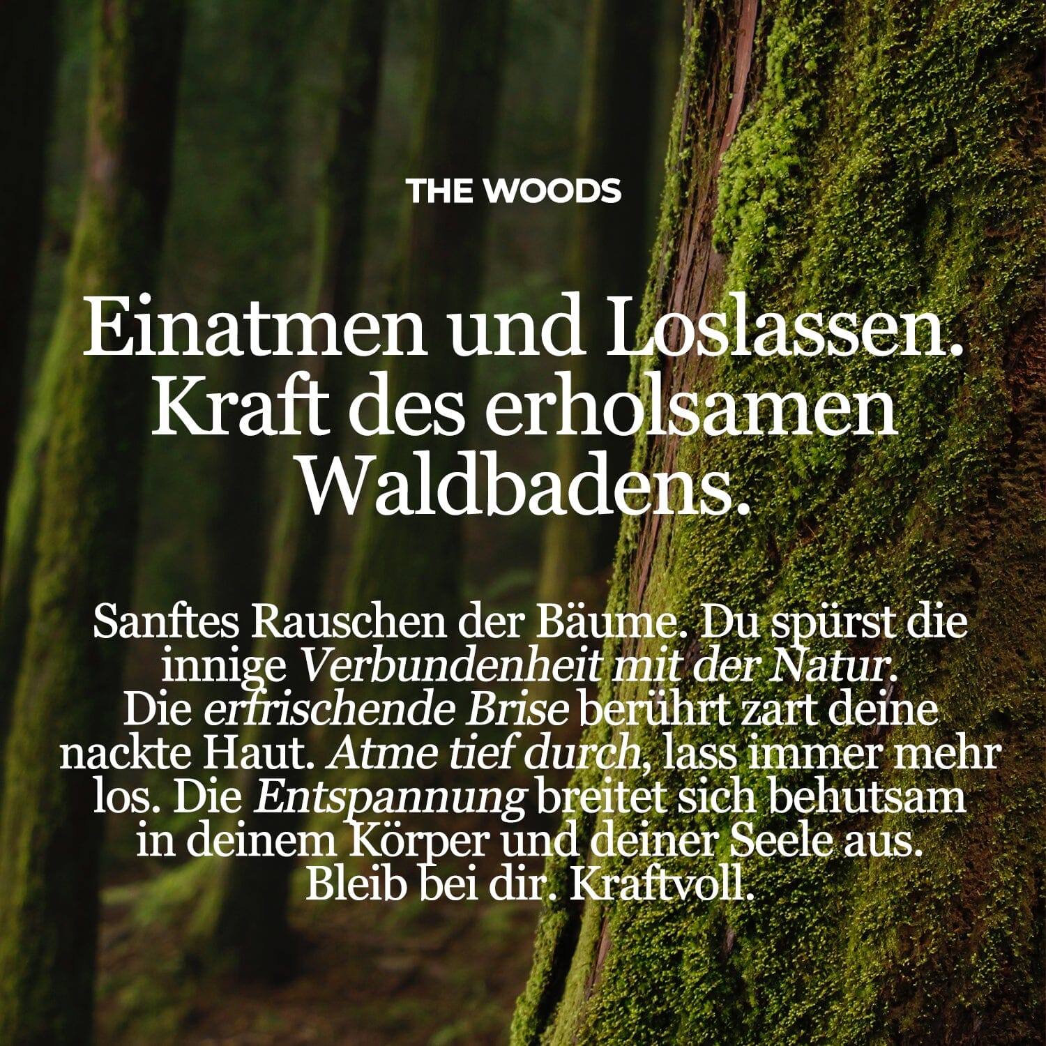 Huile de soin et de massage - AMOUR DE LA FORÊT Soin Corps Giving love to 