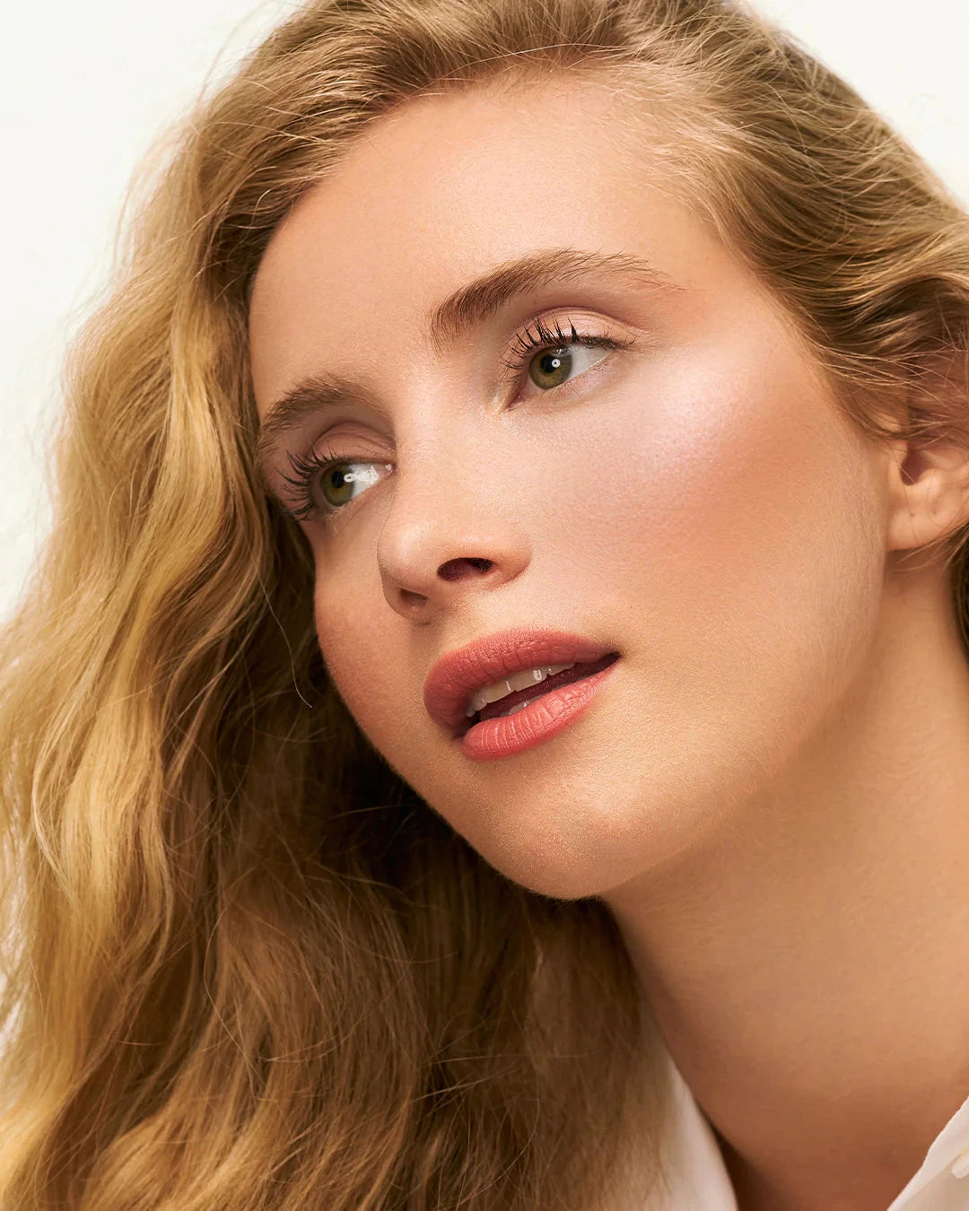 Blush Enlumineur 006 Bronze Cuivre Maquillage Eclo 