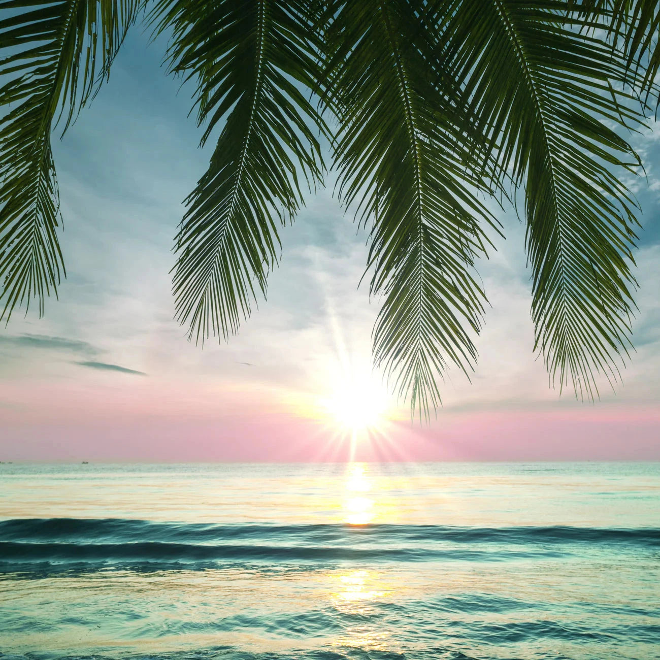 Coffret Savon Sieste Tropicale Soin Corps BAÏJA 