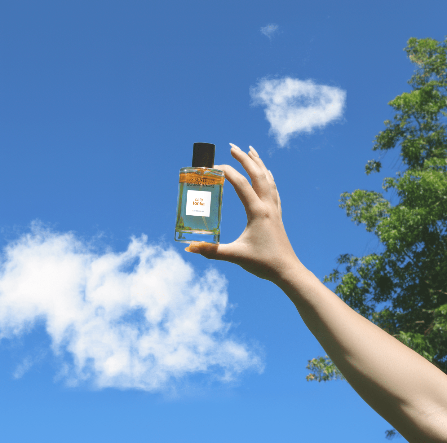 Café Tonka Eau de parfum Parfum Les Senteurs Gourmandes 