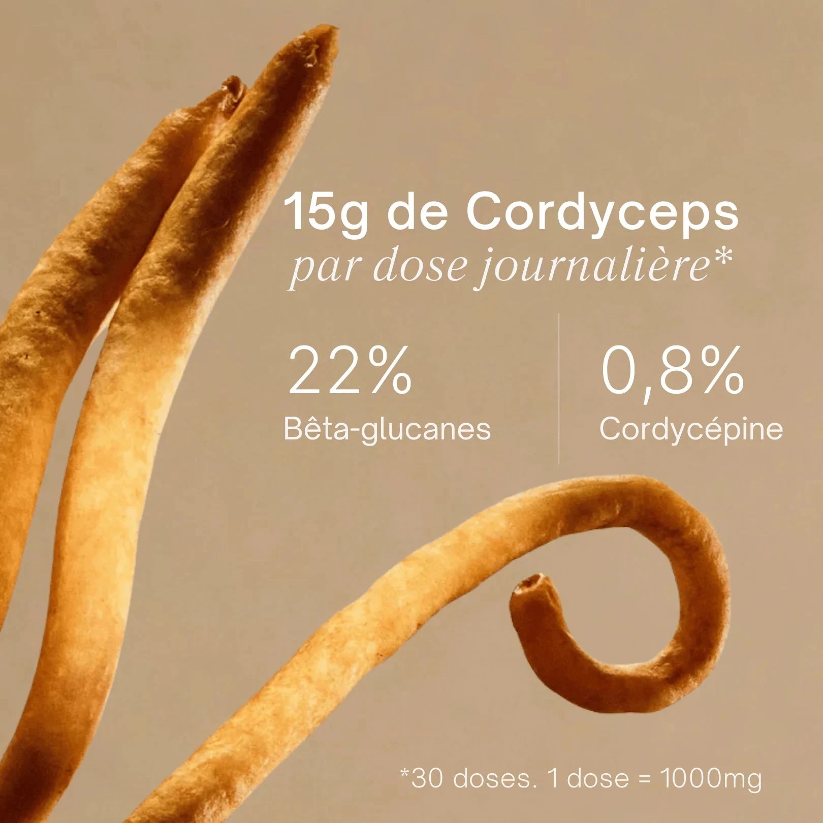 Gummies au Cordyceps - Énergie, force, endurance Complément Alimentaire Sporelife 