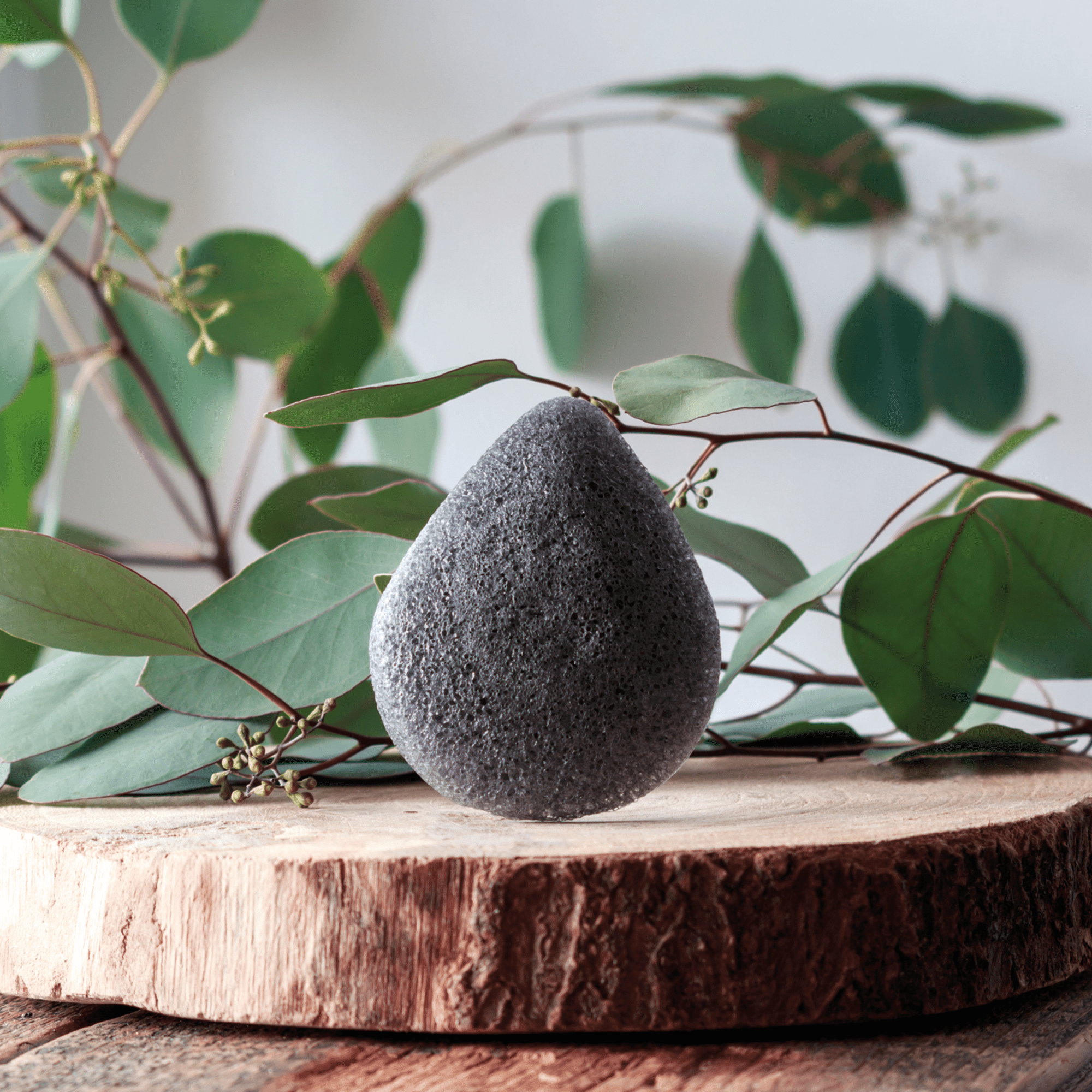 Eponge Konjac Charbon de bambou - Visage - Purifiante Accessoire Horizane Santé 