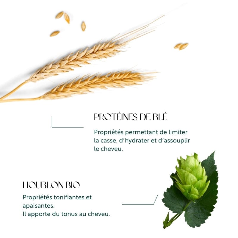 Mousse volumatrice au Houblon Shampoing Mahé 