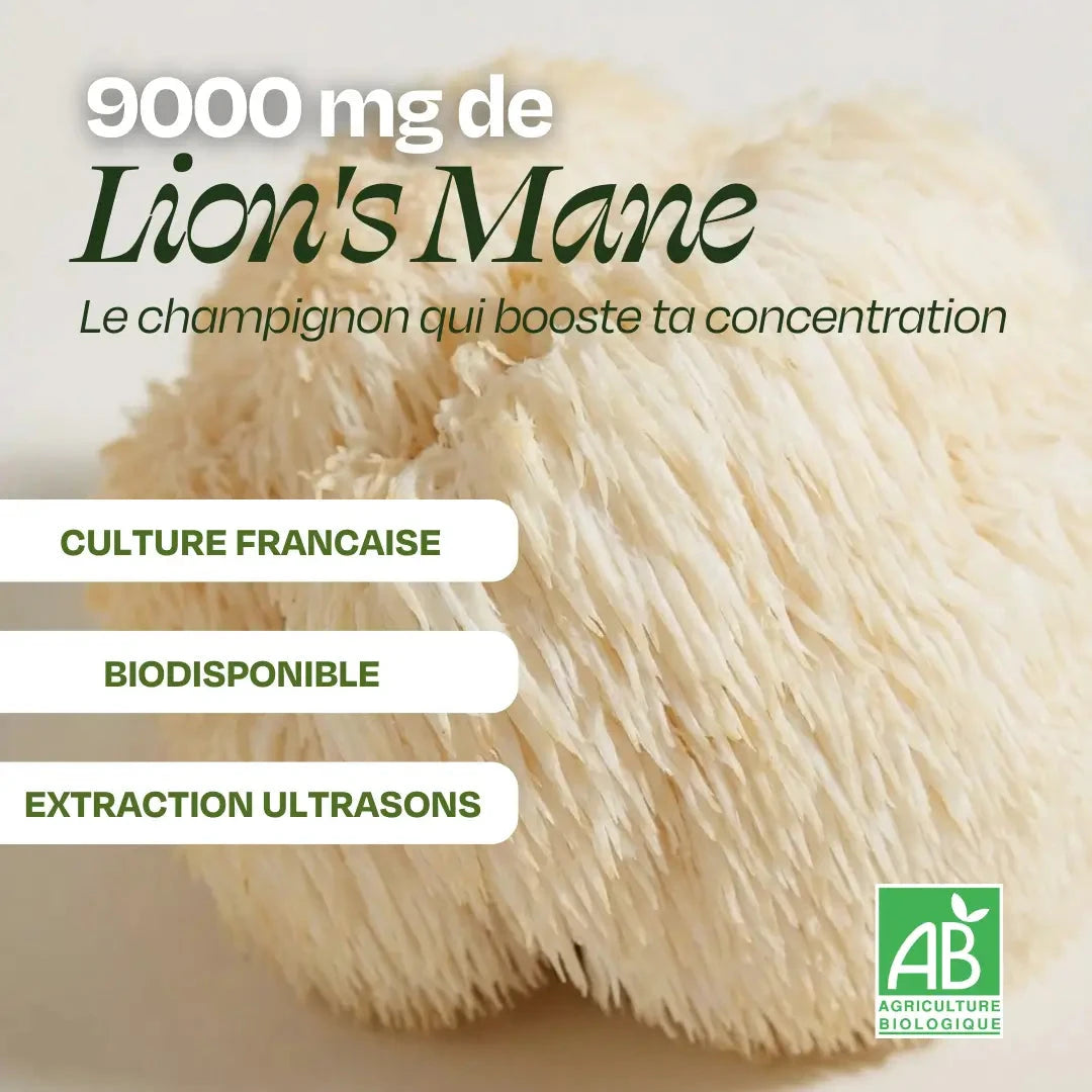 Matcha FOCUS aux champignons Complément Alimentaire HoliMushie 