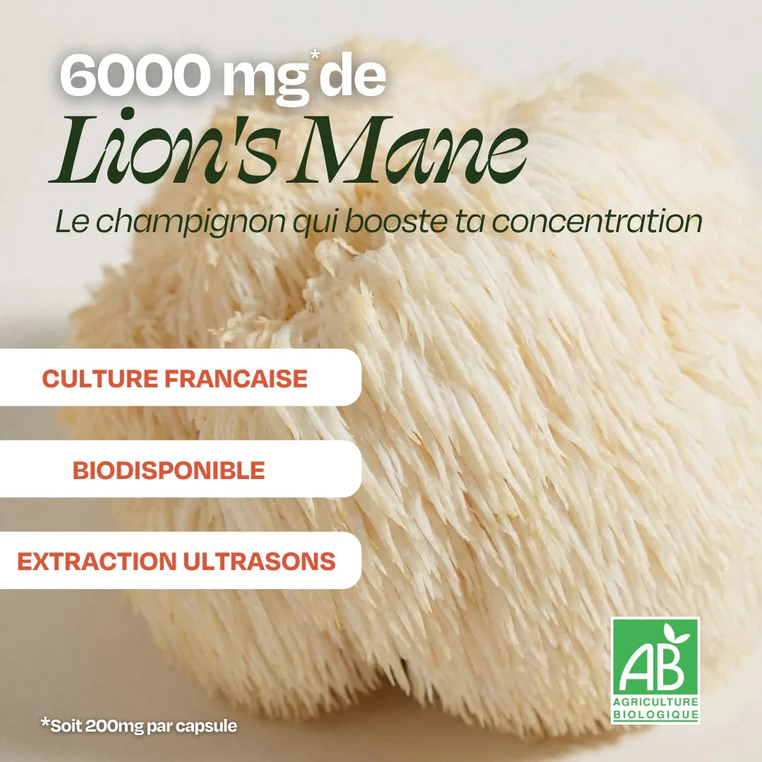 Café FOCUS Lion's Mane Complément Alimentaire HoliMushie 