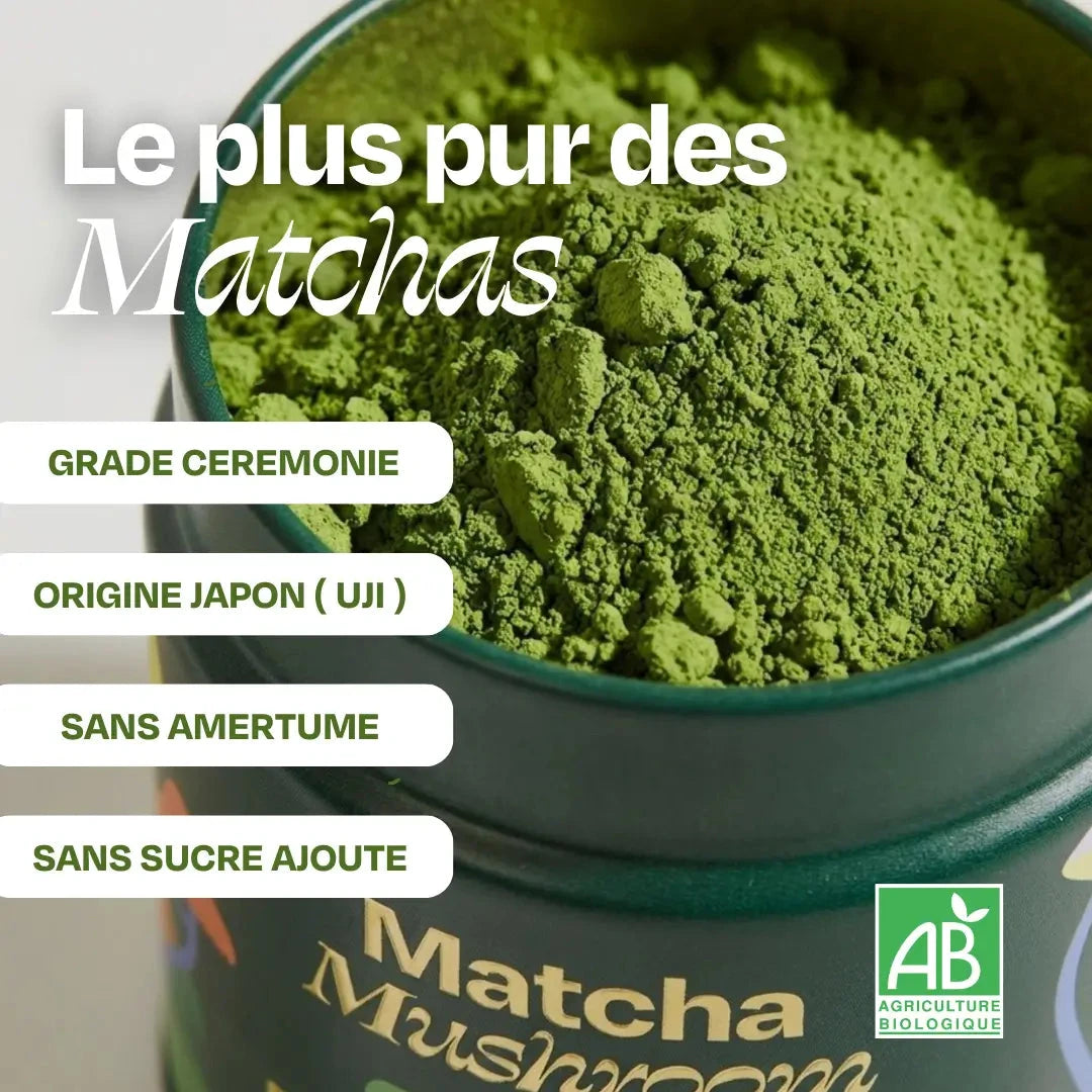 Matcha FOCUS aux champignons Complément Alimentaire HoliMushie 