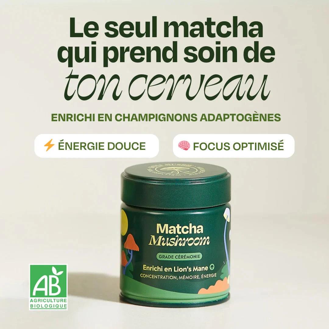 Matcha FOCUS aux champignons Complément Alimentaire HoliMushie 