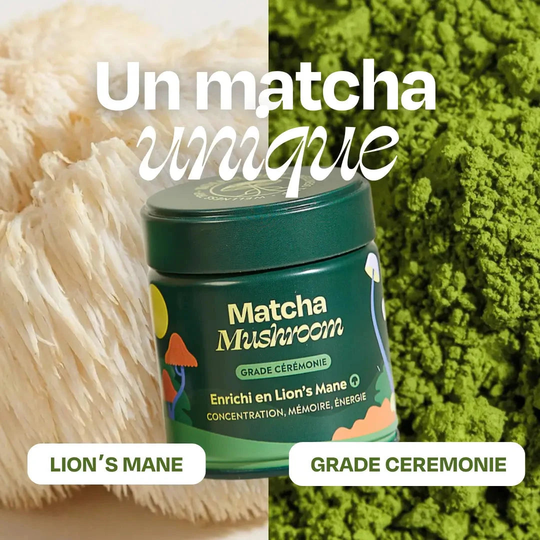 Matcha FOCUS aux champignons Complément Alimentaire HoliMushie 