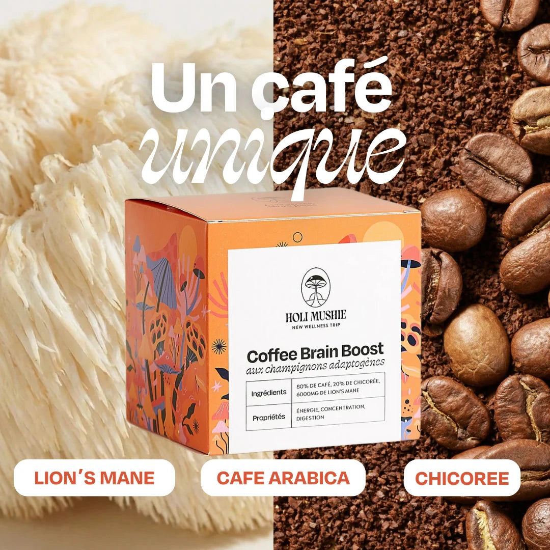 Café FOCUS Lion's Mane Complément Alimentaire HoliMushie 
