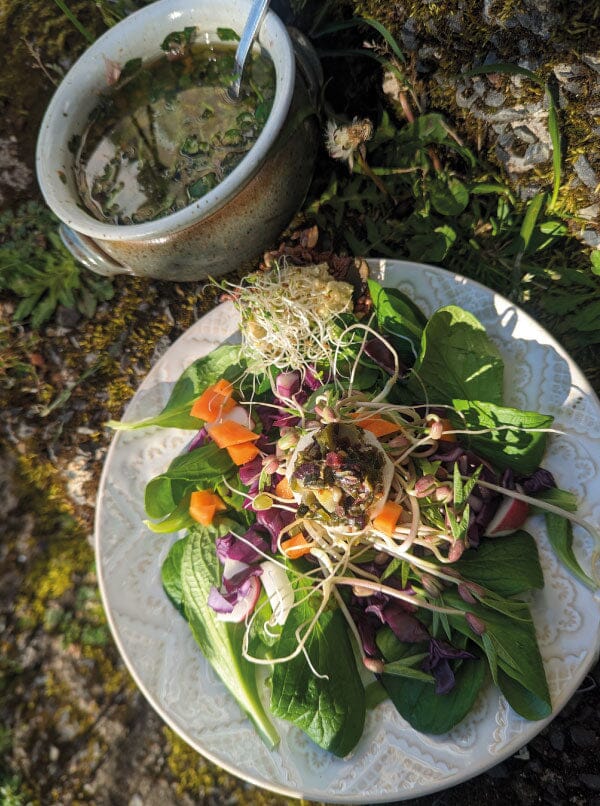 Week-end Détox - 1 place pour une Chambre partagée séjour Greez 