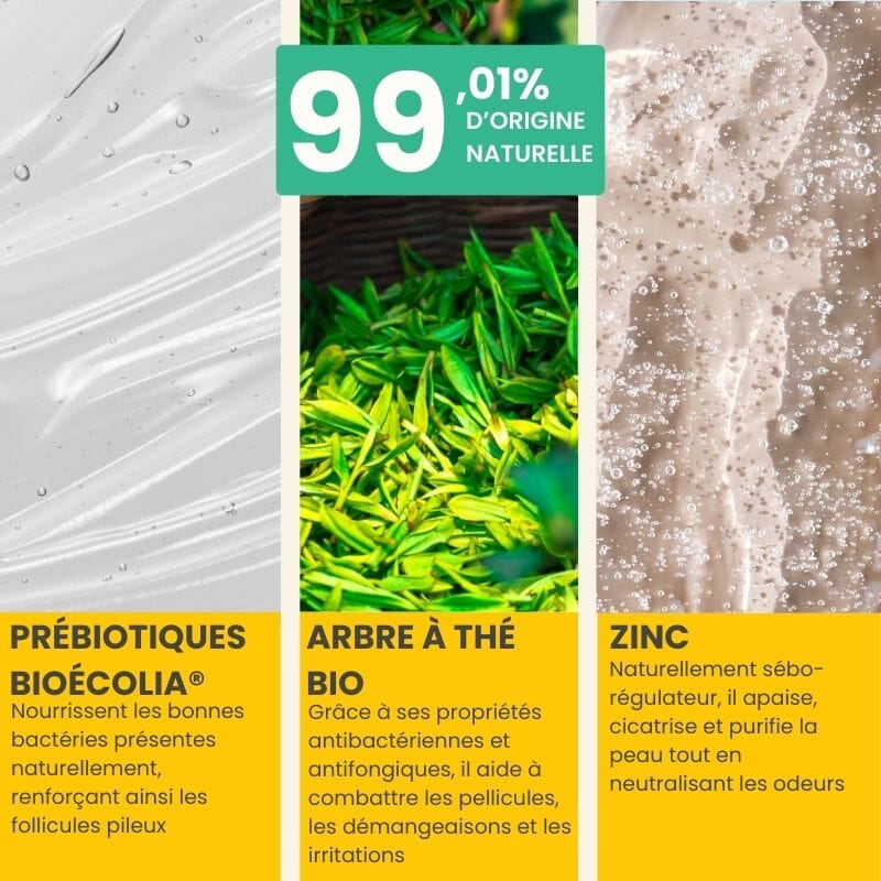 SHAMPOING SEBO REGULATEUR Soin Capillaire Pulpe de Vie 