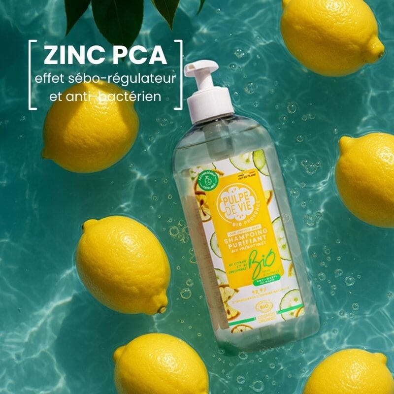 SHAMPOING SEBO REGULATEUR Soin Capillaire Pulpe de Vie 