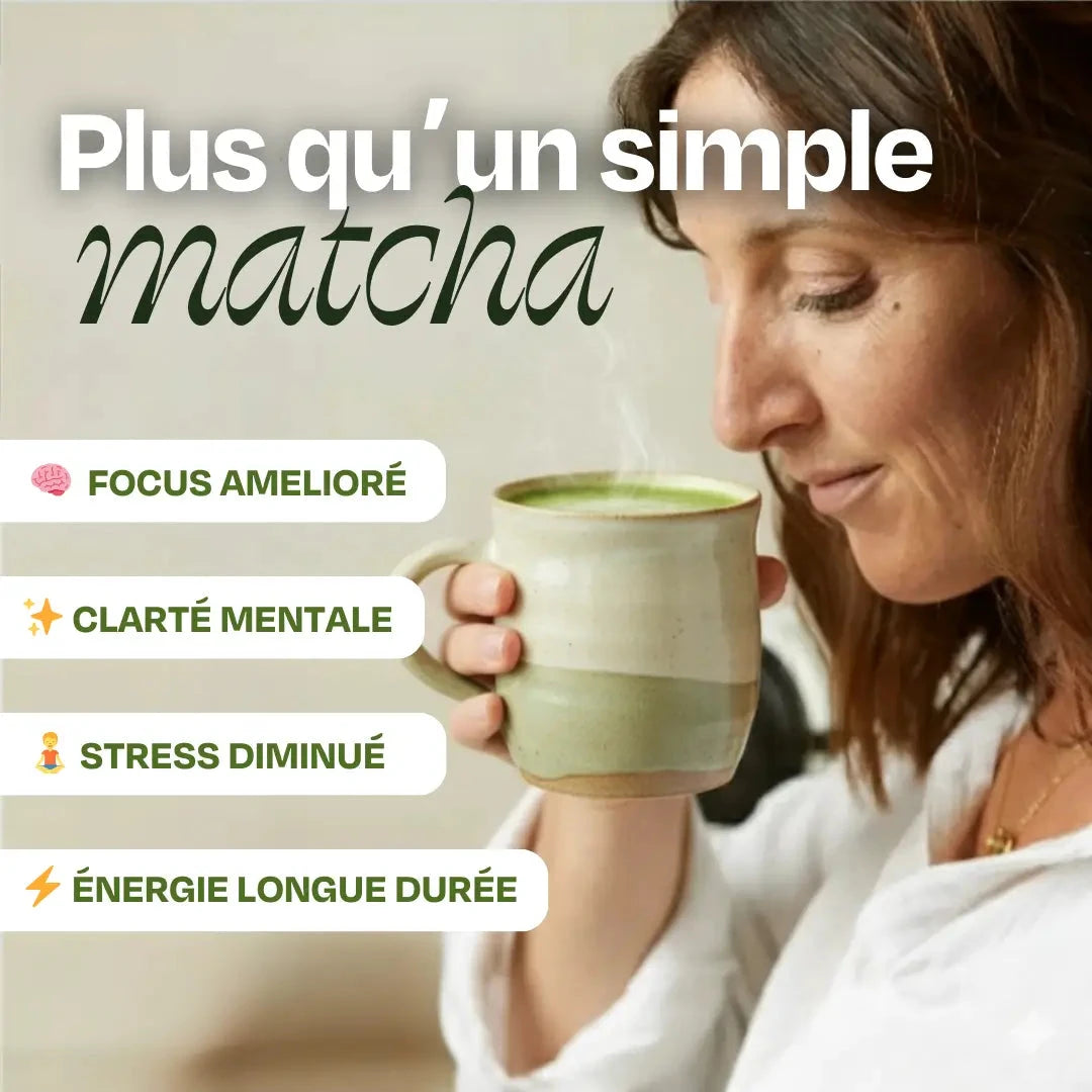 Matcha FOCUS aux champignons Complément Alimentaire HoliMushie 