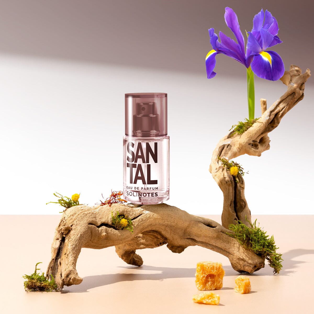 SANTAL Eau de Parfum Eau de parfum SOLINOTES 