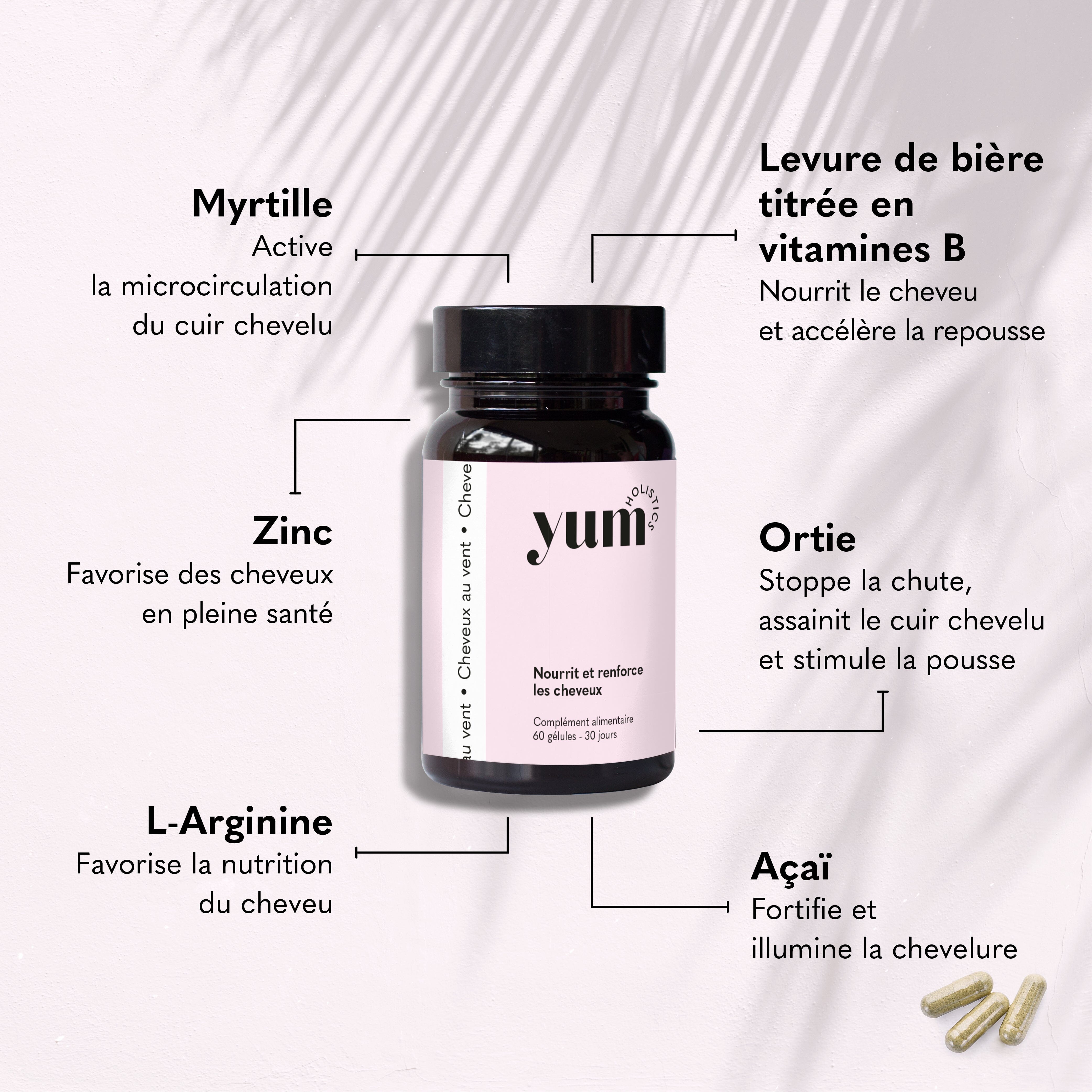 CHEVEUX AU VENT - Nourrit et renforce les cheveux Complément Alimentaire YUM HOLISTICS 