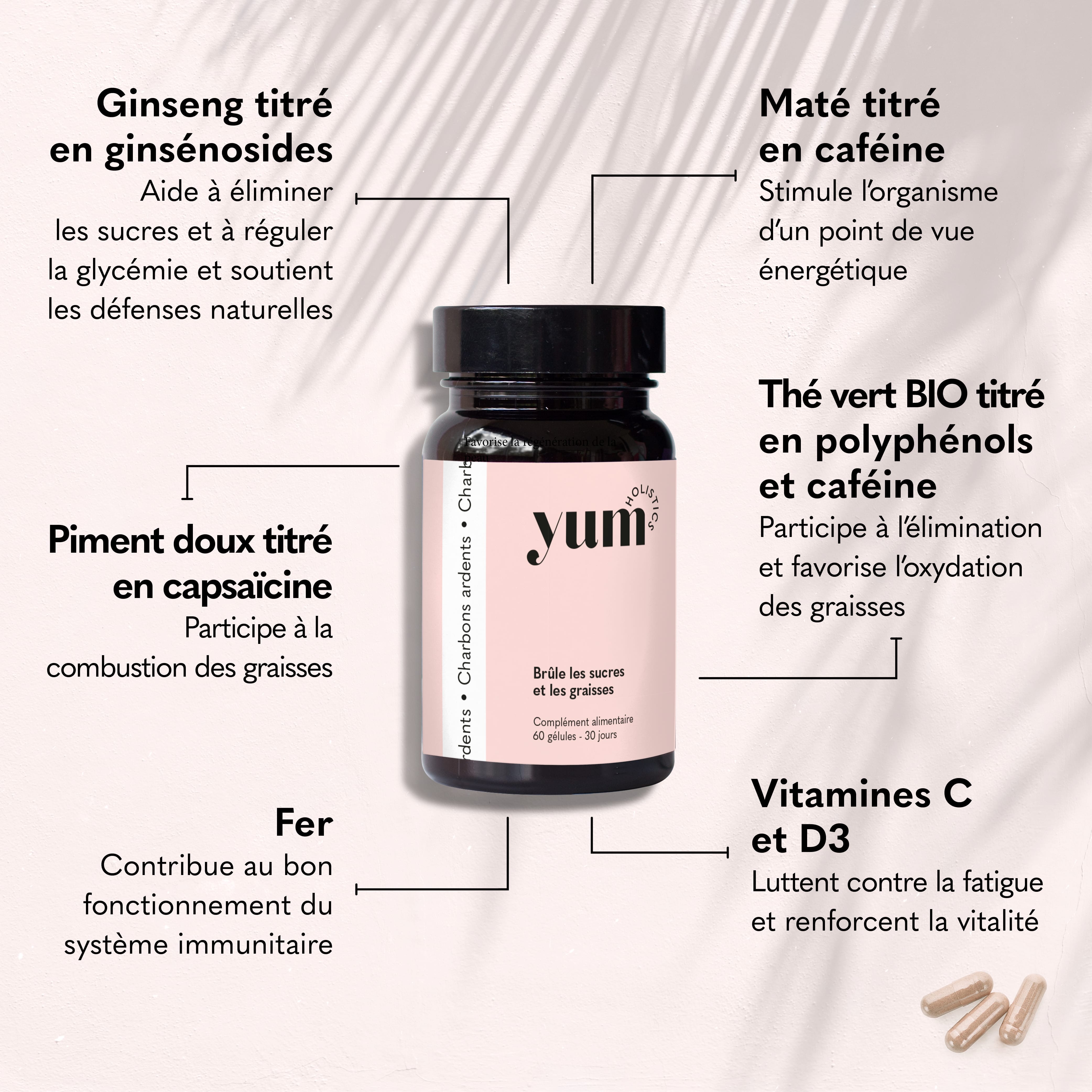 CHARBONS ARDENTS - Brûle les sucres et les graisses Complément Alimentaire YUM HOLISTICS 