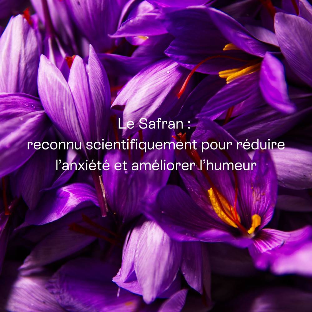 Mon Cycle Zen - Nutricosmétique