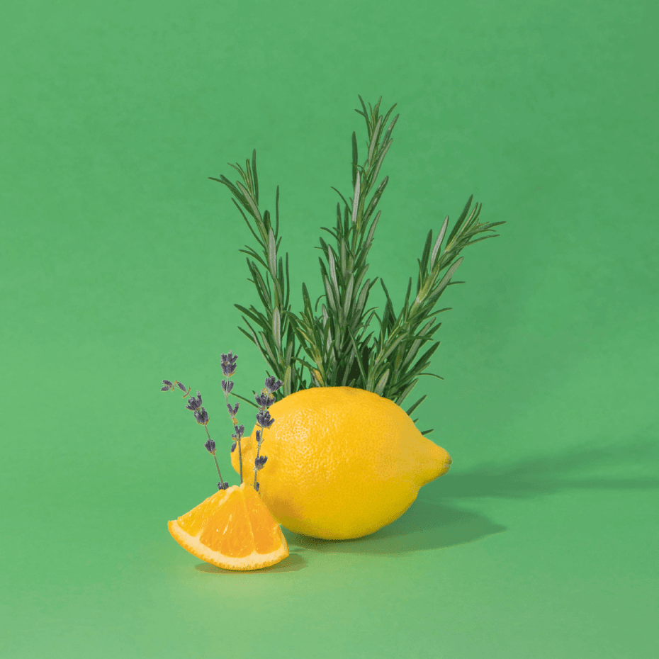 Crème mains Vitaminée - Romarin Soin Mains La Compagnie de Provence 