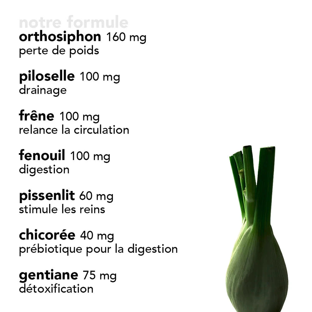 Gélules Détox Complément Alimentaire YUM HOLISTICS 