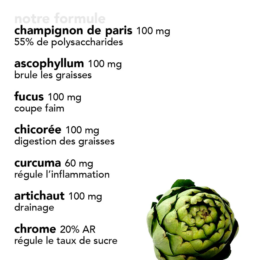 Gélules Minceur Complément Alimentaire YUM HOLISTICS 