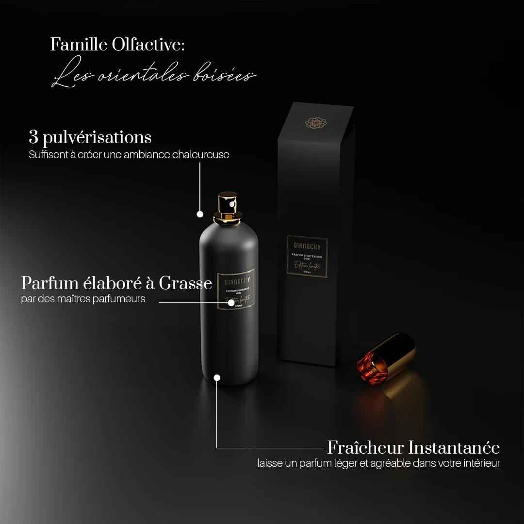 Parfum d'ambiance - Oud Parfum d'Ambiance BIANOCHY 
